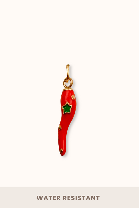 Hot Chili Charm (Stainless Steel)