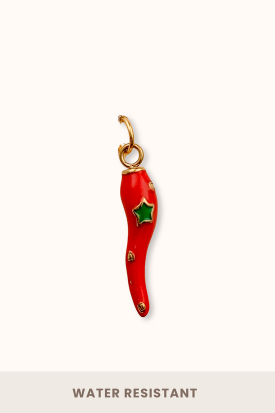 Hot Chili Charm (Stainless Steel)