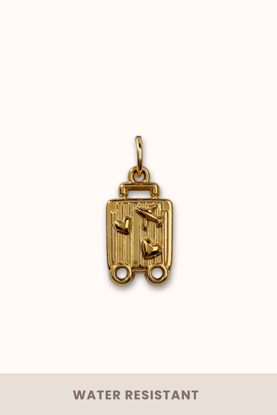 Voyage Case (Stainless Steel)