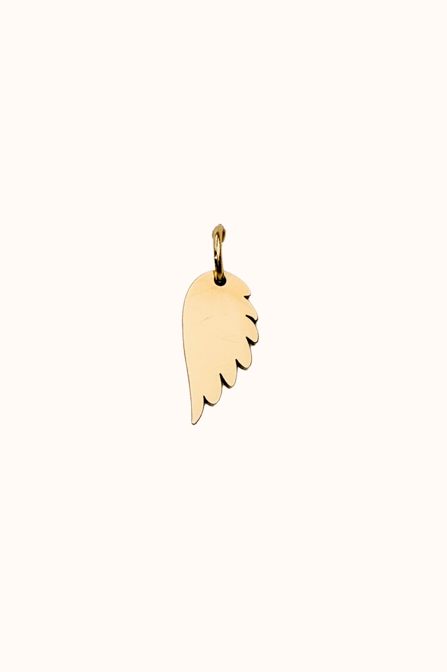 Golden Wing Charm
