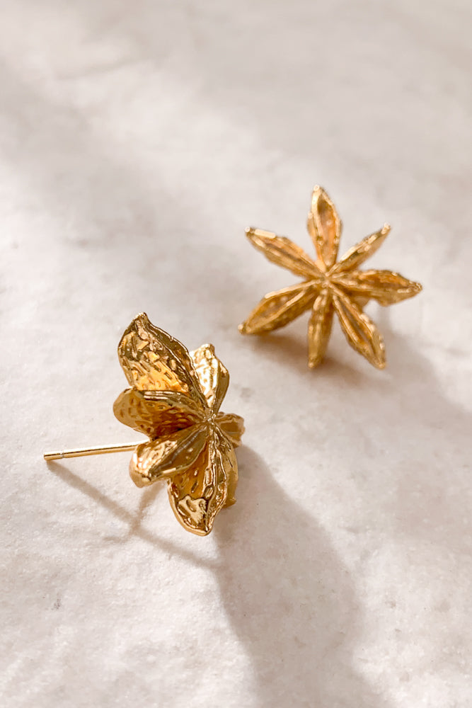 Star Anise Ear Studs