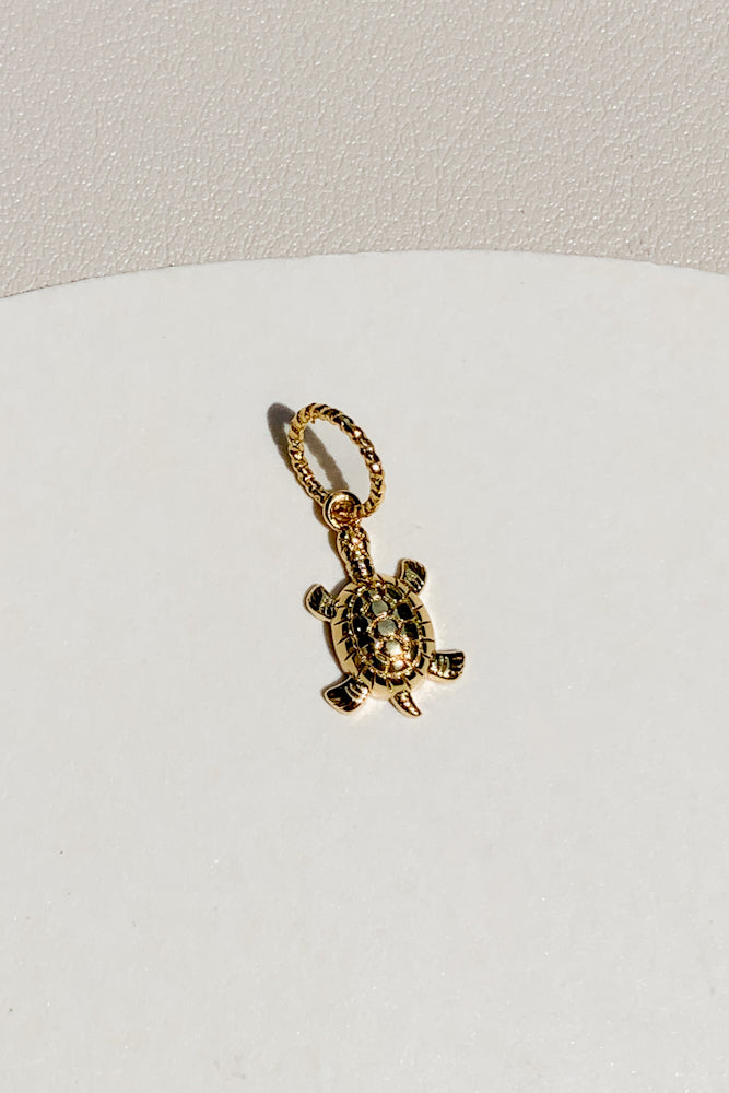 Tortoise Charm