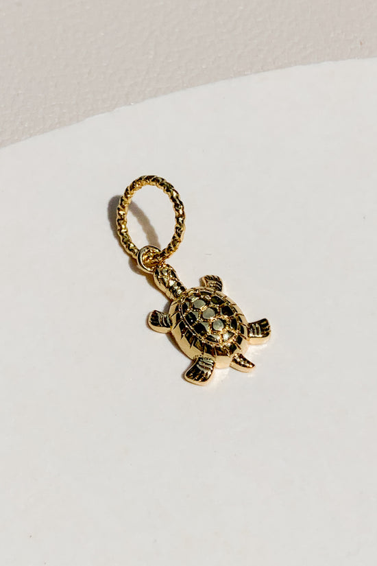 Tortoise Charm