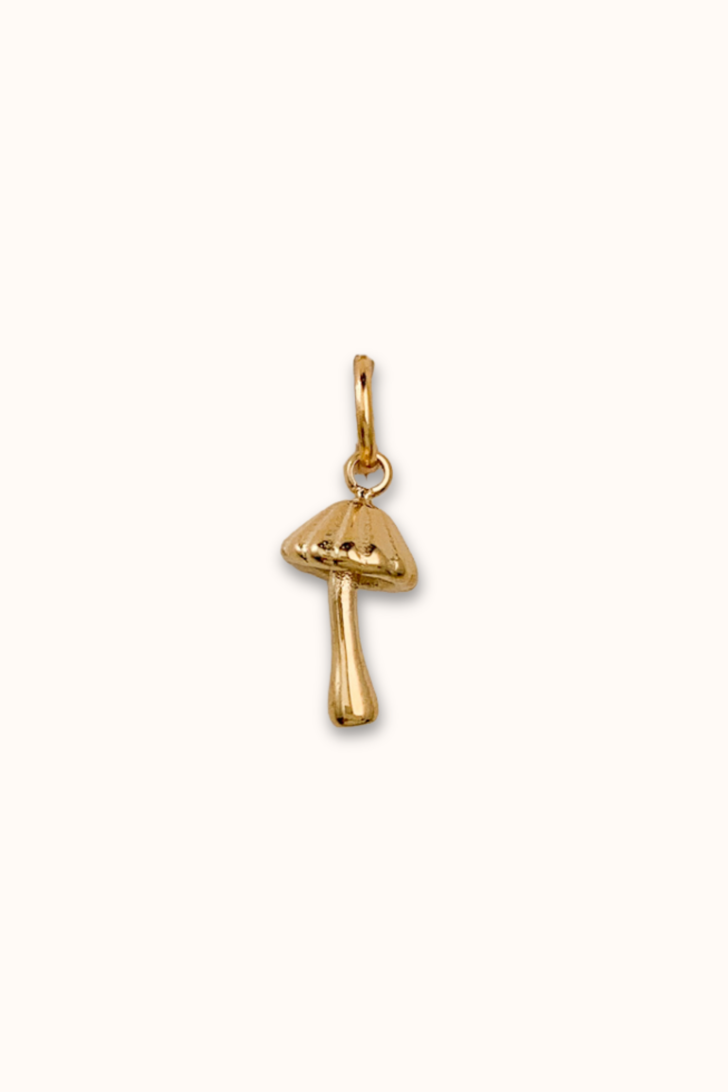 Mori Charm