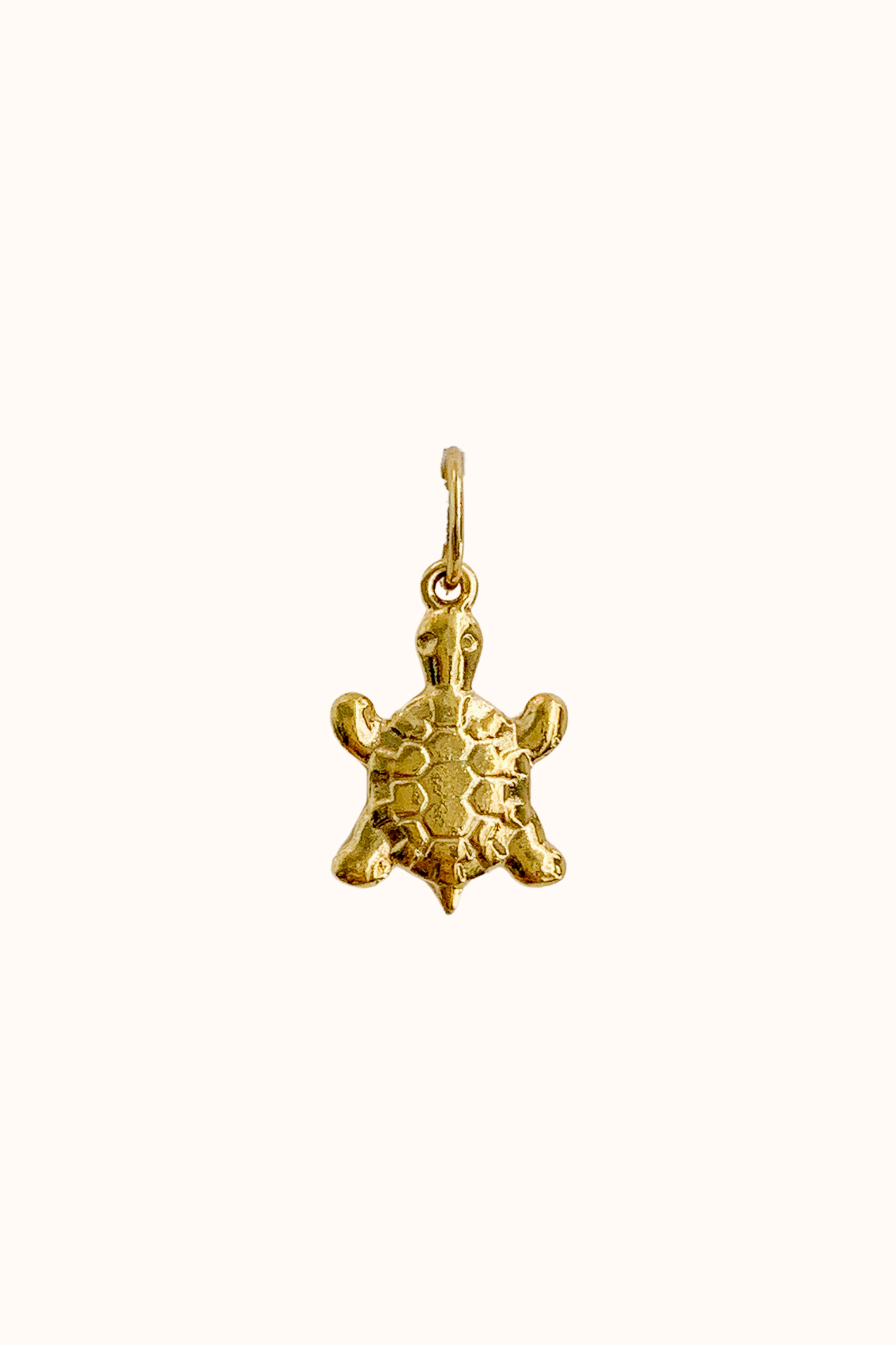 Tortoise Charm